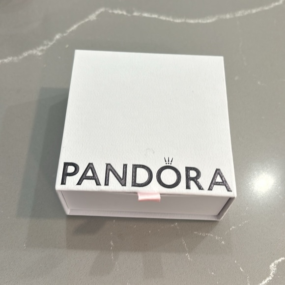 Pandora Charm Bracelet - Bracelet only - Picture 4 of 6